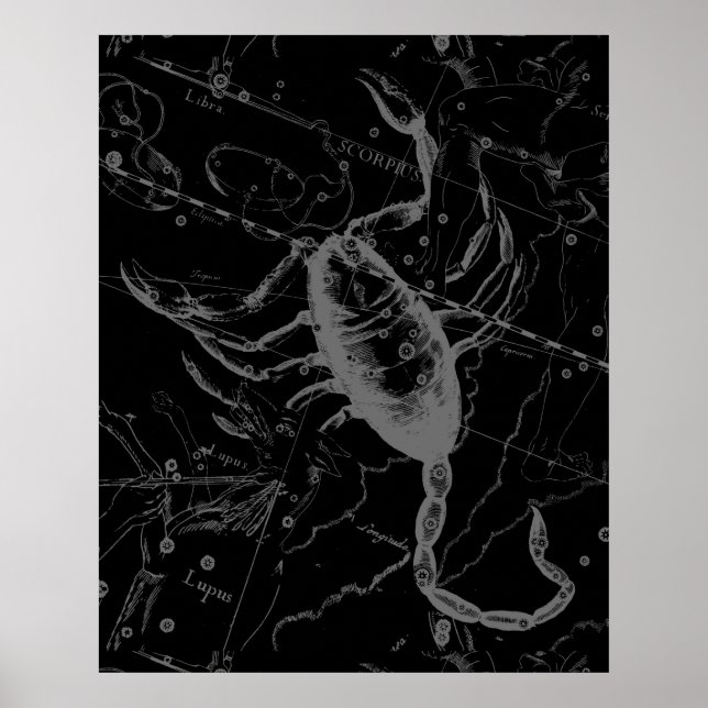 Affiches Scorpio Constellation Hevelius 1690 sur Black (Devant)