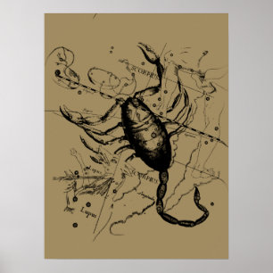 Affiches Scorpio Constellation Hevelius vers 1690 Vintage