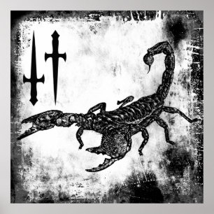 Affiches Scorpion