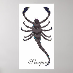 Affiches Scorpion Starlight
