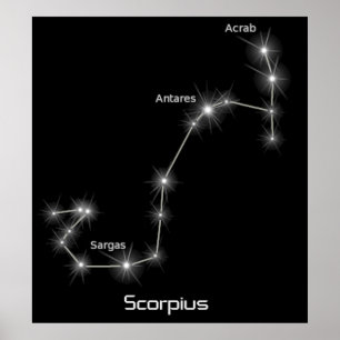 Affiches Scorpius Constellation Scorpio Zodiac Business