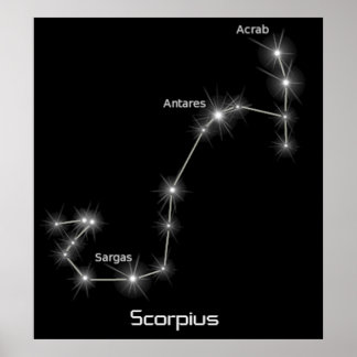 Affiches Scorpius Constellation Scorpio Zodiac Business