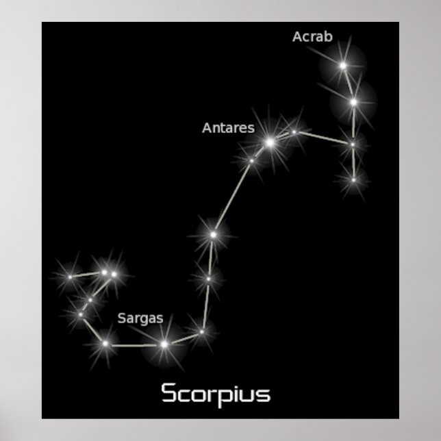 Affiches Scorpius Constellation Scorpio Zodiac Business (Devant)