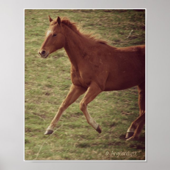 Affiches Scotch in Motion (Devant)