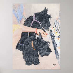 Affiches Scotties Allume des Bougies