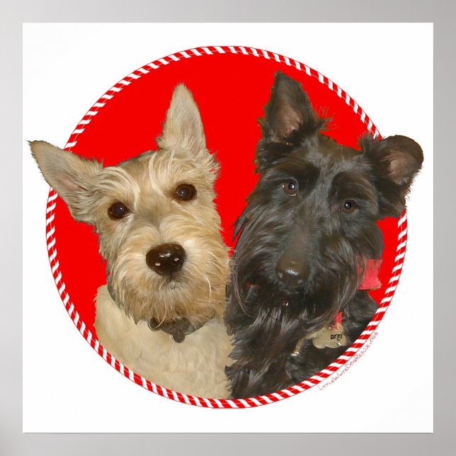 Affiches Scotties roux et noirs de Noël (Devant)