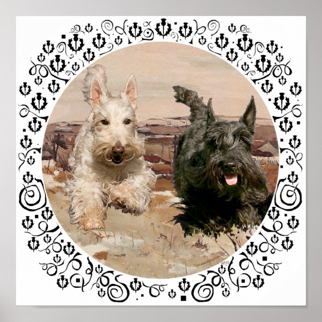 Affiches Scotties roux et noirs en course (Devant)