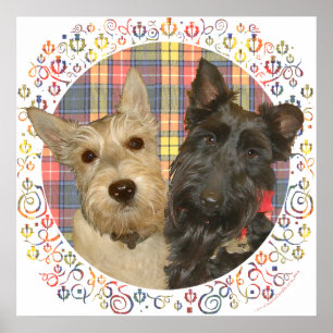 Affiches Scotties roux et noirs sur tartan