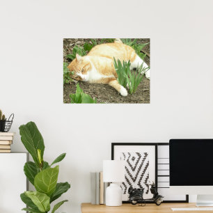 Affiches Scrapper dans le jardin