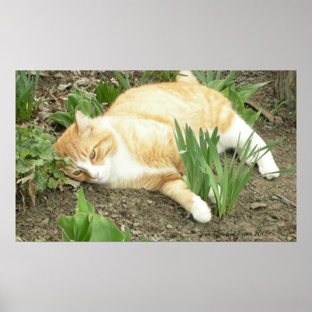 Affiches Scrapper dans le jardin (Devant)