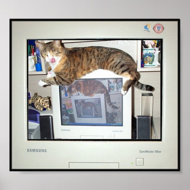 Affiches Screen Savor Prints (Devant)