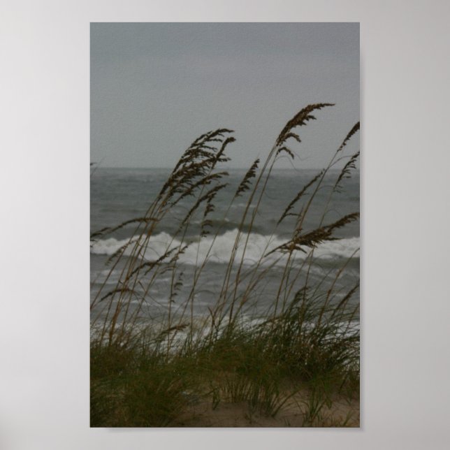 Affiches Sea Breeze (Devant)