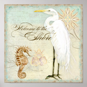 Affiches Sea Horse, Great Egret Coastal Beach - Art
