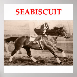 Affiches seabiscuit