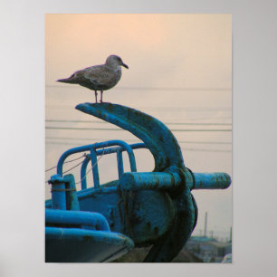 Affiches Seagull Repose Sur L'Ancre Du Navire Choshi