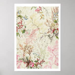 Affiches Seaweed design for silk material (w/c on paper)