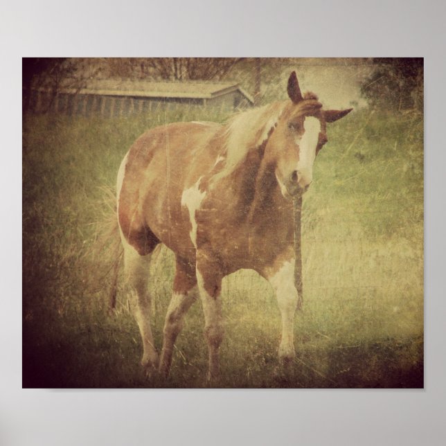 Affiches Secoue la tête de manière flashy (Devant)