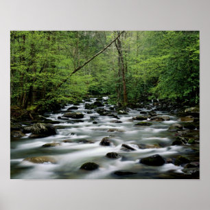 Affiches Secteur de région de Greenbrier, Great Smoky