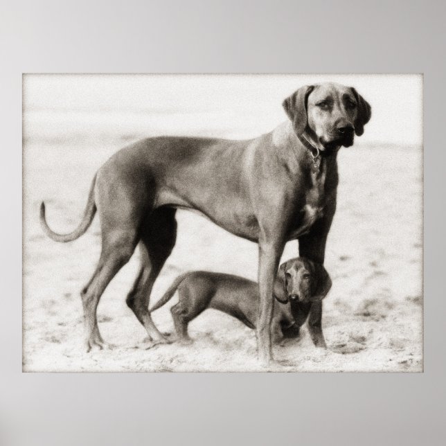 Affiches sécurité intérieure (Devant)