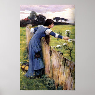 Affiches Sélecteur de fleurs par John Waterhouse Imprimer