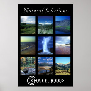 Affiches Sélections naturelles