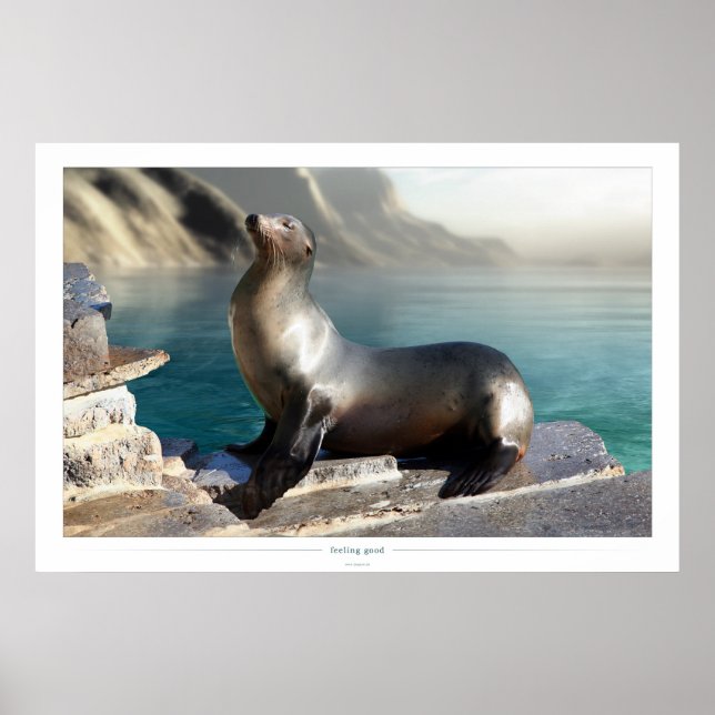 Affiches sensation (Devant)