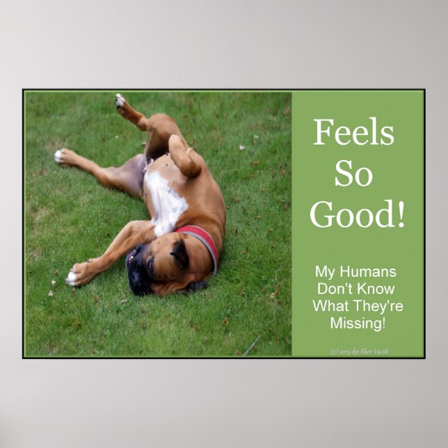 Affiches Sent l'affiche tellement bonne (Devant)