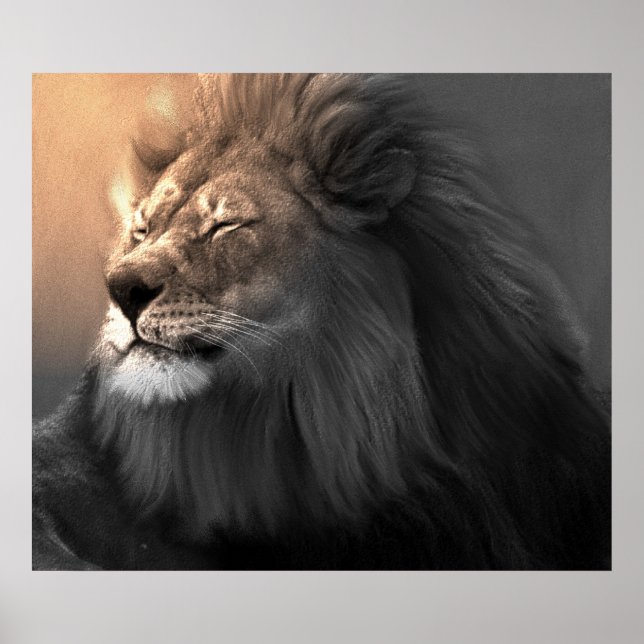 Affiches Sentez La Lumière Blanche (Devant)