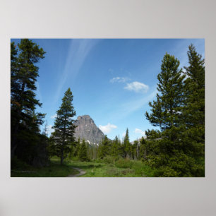 Affiches Sentier Aster Park dans le parc national de Glacie