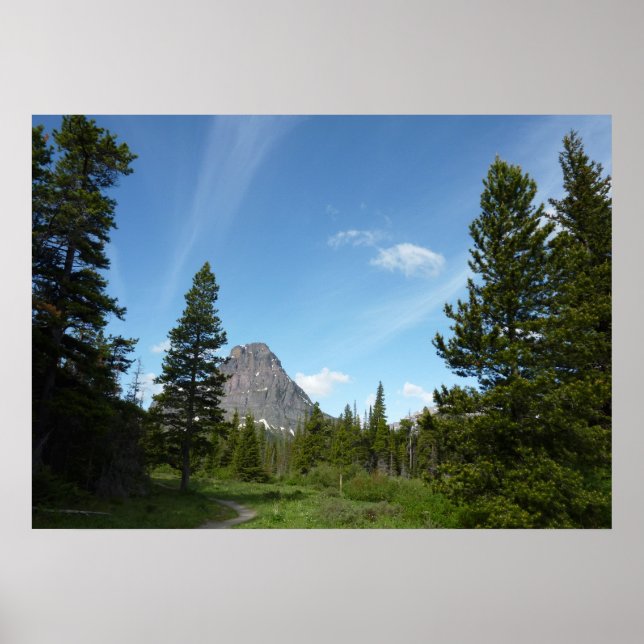 Affiches Sentier Aster Park dans le parc national de Glacie (Devant)