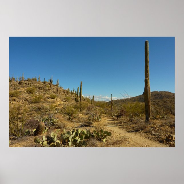 Affiches Sentier Carillo du Saguaro dans le parc national d (Devant)