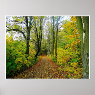 Affiches sentier en bois à travers l'affiche des arbres DE