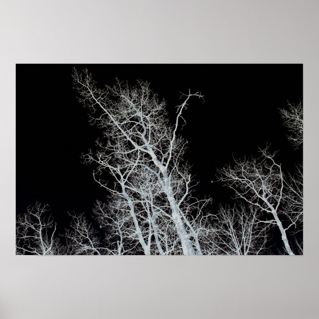 Affiches Sentinel (Devant)
