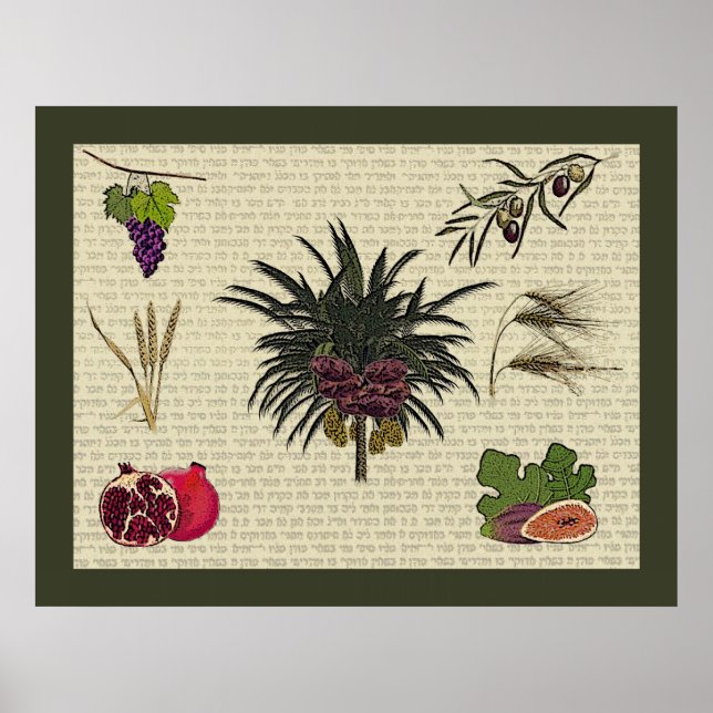 Affiches Sept espèces (Devant)