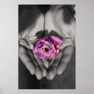 Affiches Serendipité