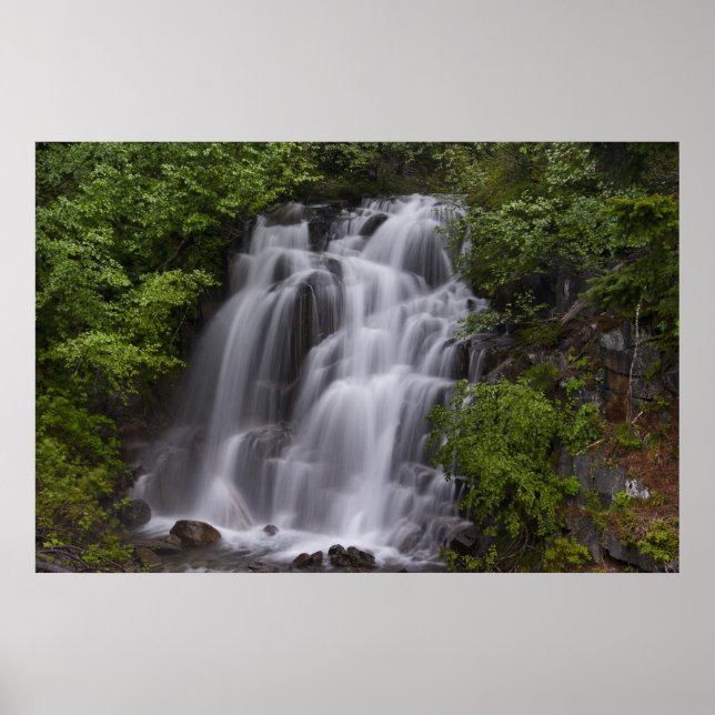 Affiches Serene (Devant)