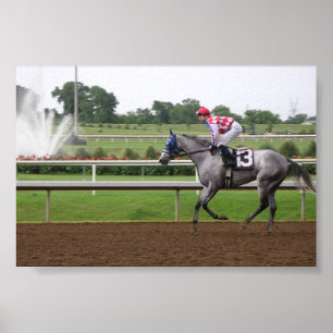 Affiches Série de LSP (2)