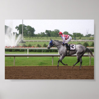 Affiches Série LSP (2)