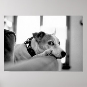 Affiches Sérieux Oeil Côté.