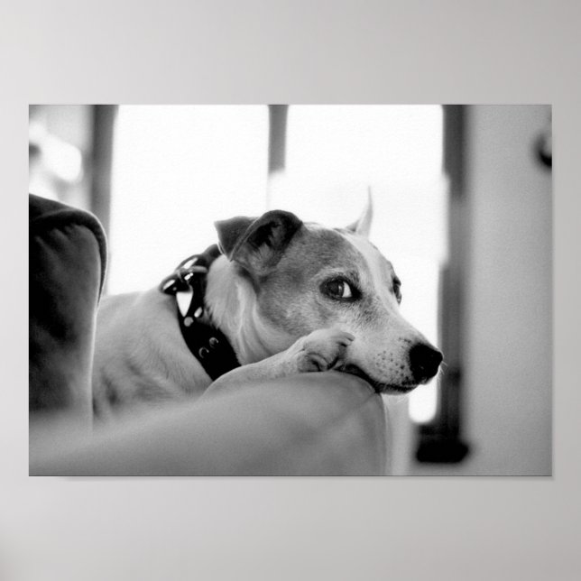 Affiches Sérieux Oeil Côté. (Devant)