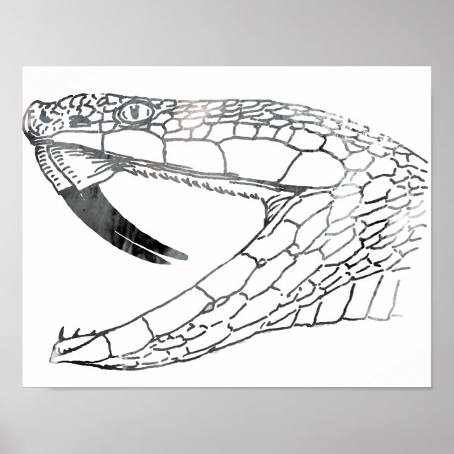 Affiches serpent 6,png (Devant)