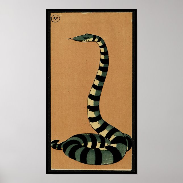 Affiches Serpent - Antiquaire, Colorée Illustration du livr (Devant)