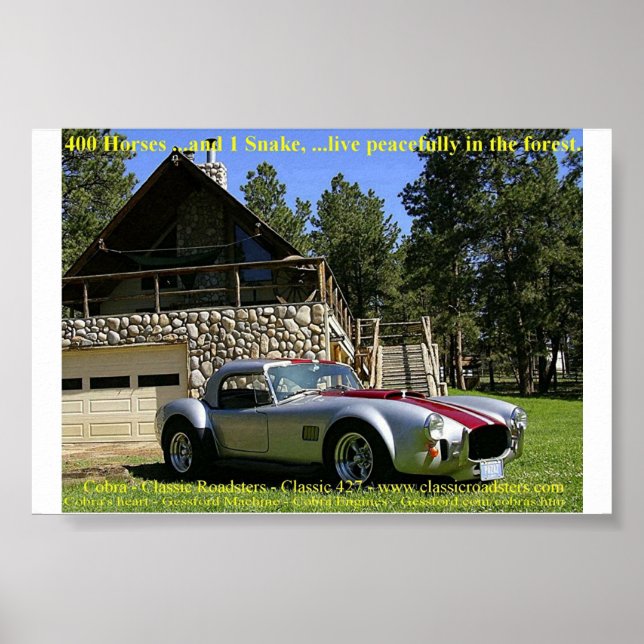 Affiches SerpentNGrass (Devant)