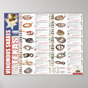 Affiches Serpents venimeux du Texas Poser par le NNTRC