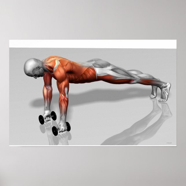 Affiches Setanta Push 4 (Devant)