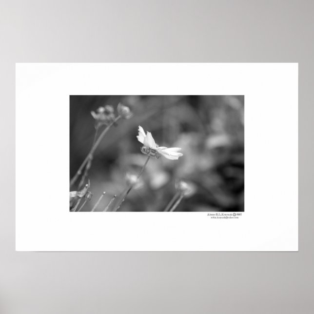 Affiches Seul (Devant)