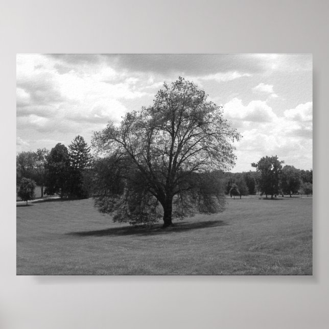 Affiches Seul (Devant)