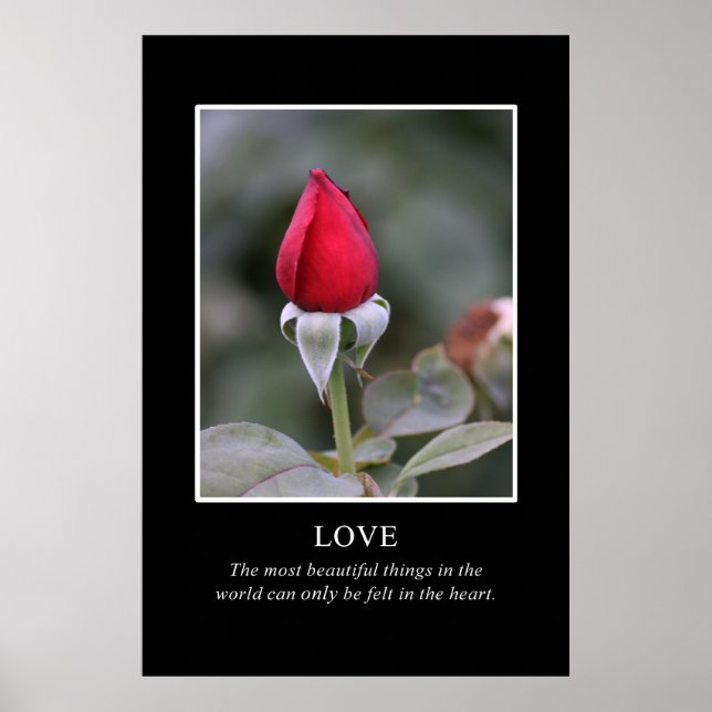 Affiches Seul le coeur connaît la vraie beauté (Devant)