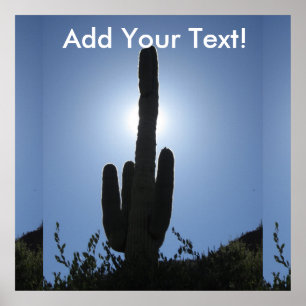 Affiches Shady Saguaro