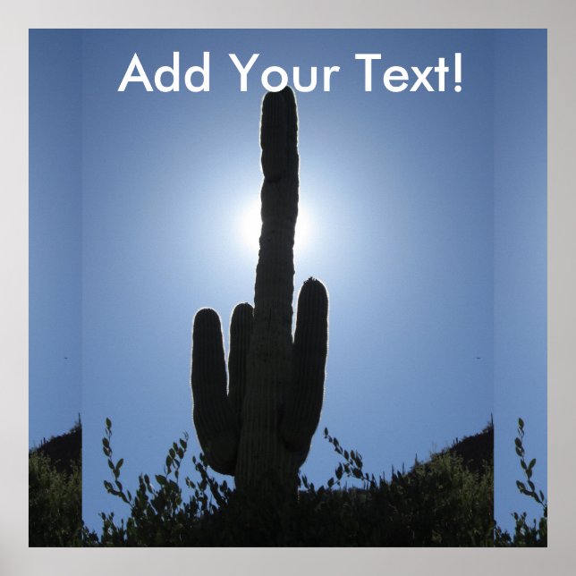 Affiches Shady Saguaro (Devant)